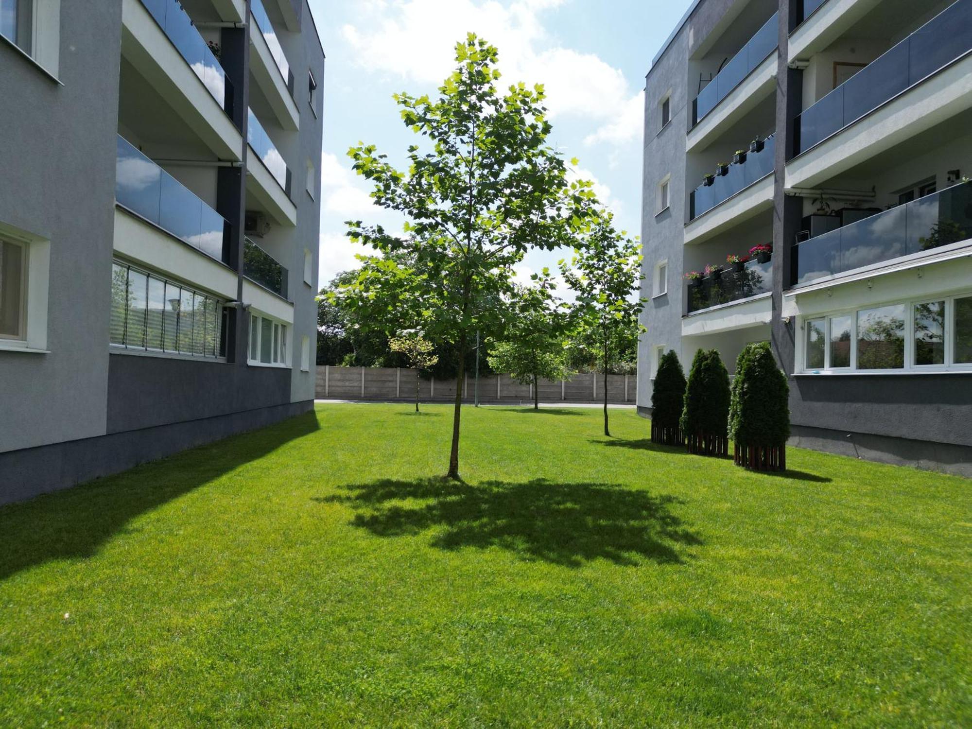 Hunyadi Luxury Kogalniceanu Sibiu Exteriör bild